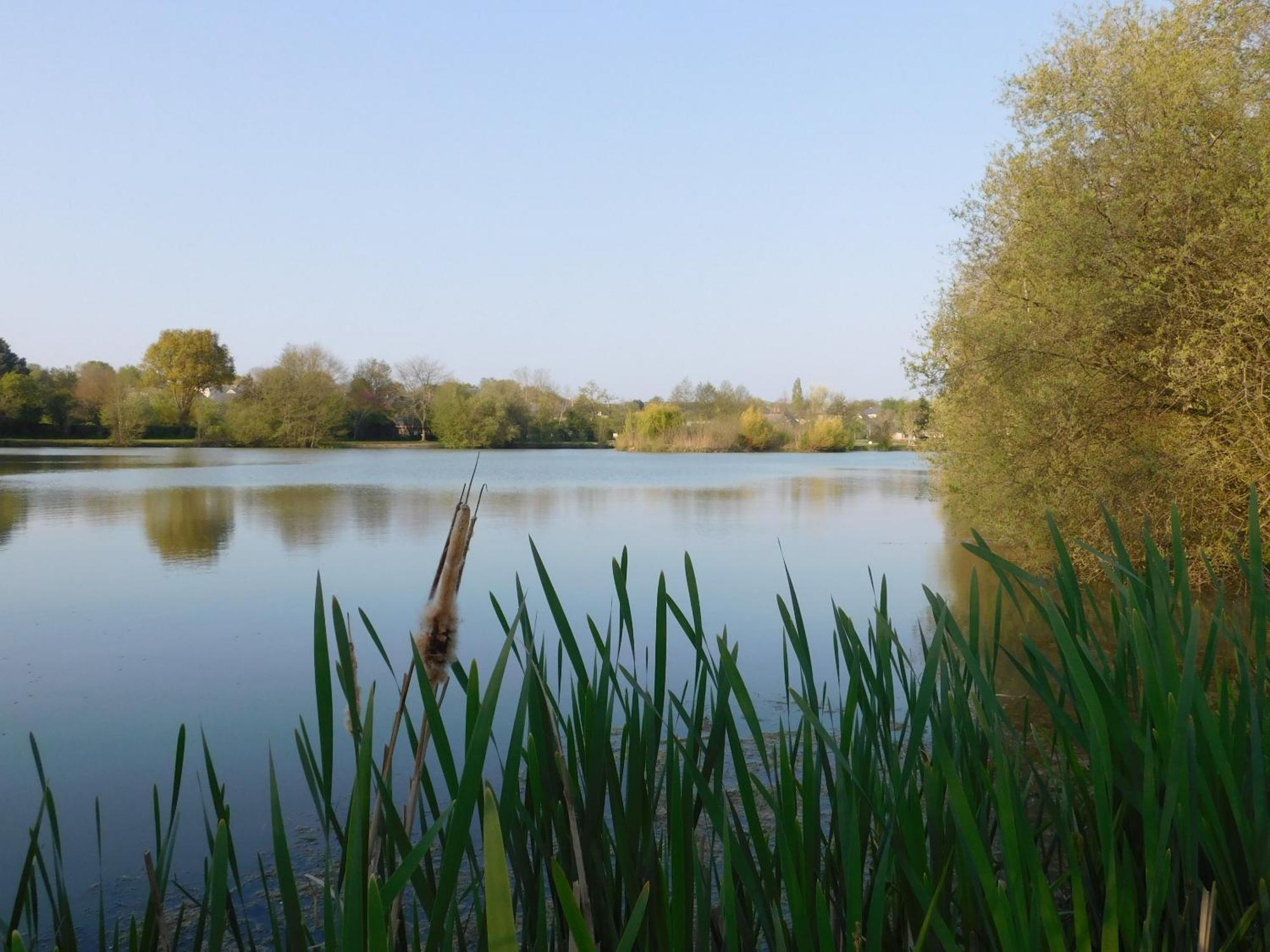 Village De Gites Nature Et Jardin Bouere Εξωτερικό φωτογραφία